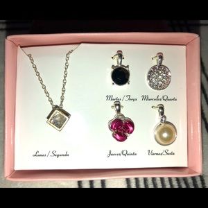 Silver Interchangeable charms with Necklace